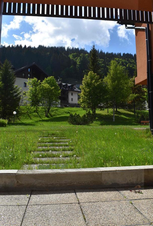 Maso 33 Madonna di Campiglio